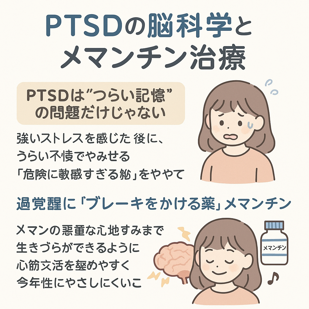 PTSDに対するメマンチンの有効性 ― トラウマ反応を「脳の興奮」から考える新しい治療の視点
